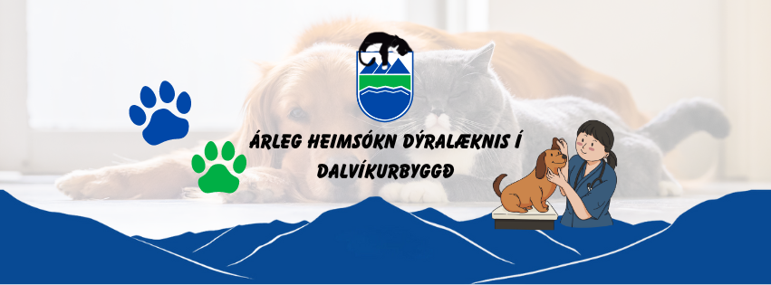 Árleg heimsókn dýralæknis í Dalvíkurbyggð