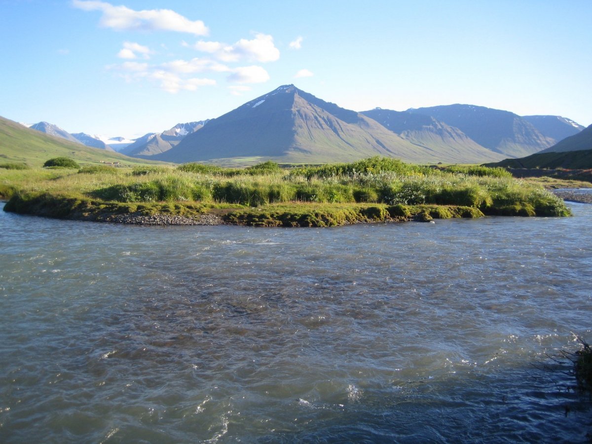 Dalvíkurbyggð auglýsir laus til umsóknar veiðileyfi í Svarfaðardalsá