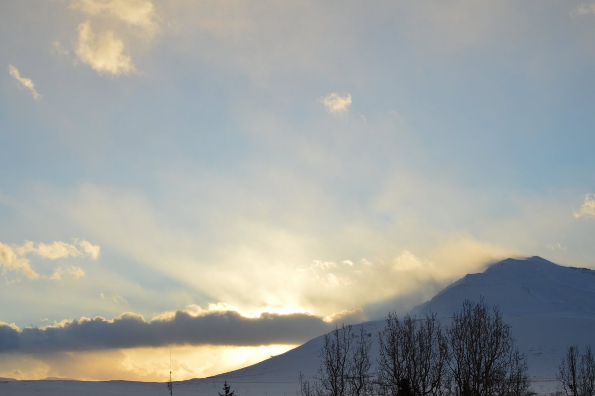 Til foreldra barna í leik- og grunnskólum Dalvíkurbyggðar