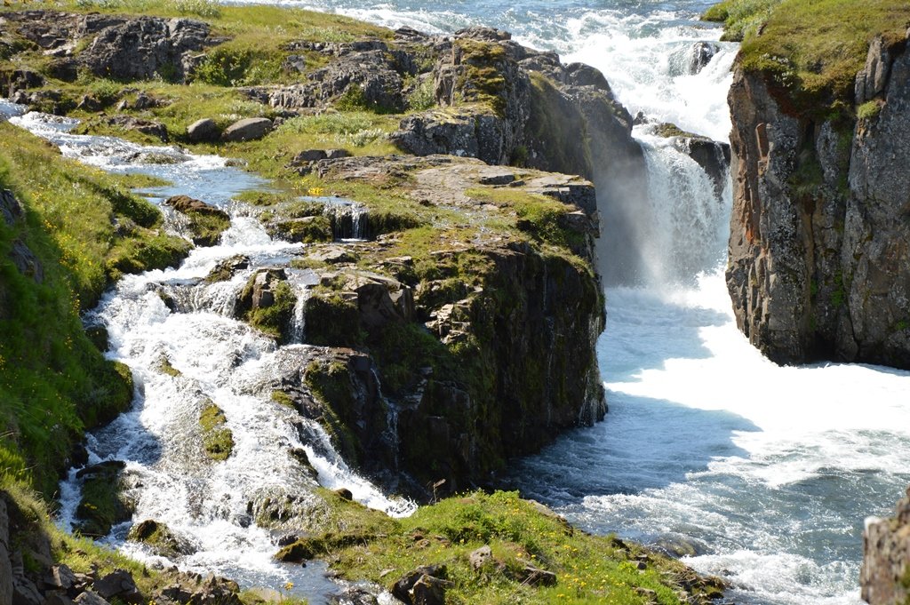 Vorhreinsun í Dalvíkurbyggð