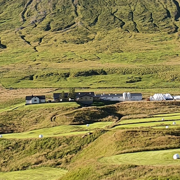 Búrfell í Svarfaðardal.
Mynd frá Guðrúnu Marinósdóttur á Búrfelli