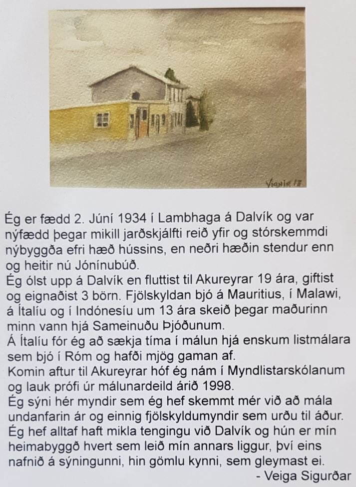 Veiga Sigurðar (Lambhaga) sýnir myndlist í Bergi í júní