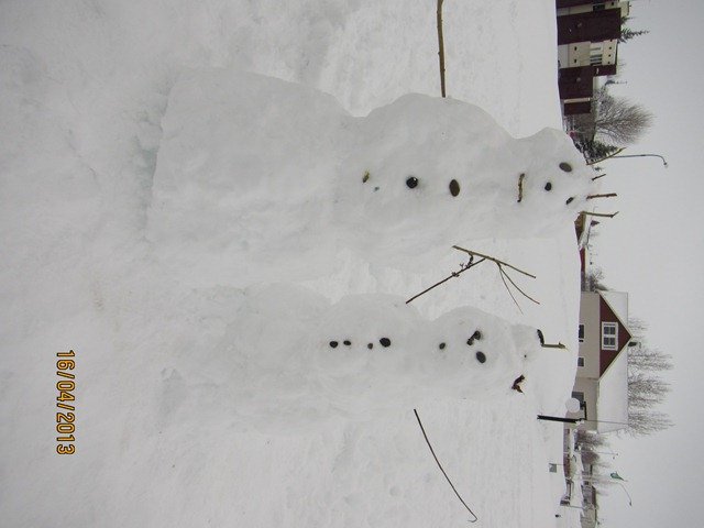 Líf og fjör í útiskennslu