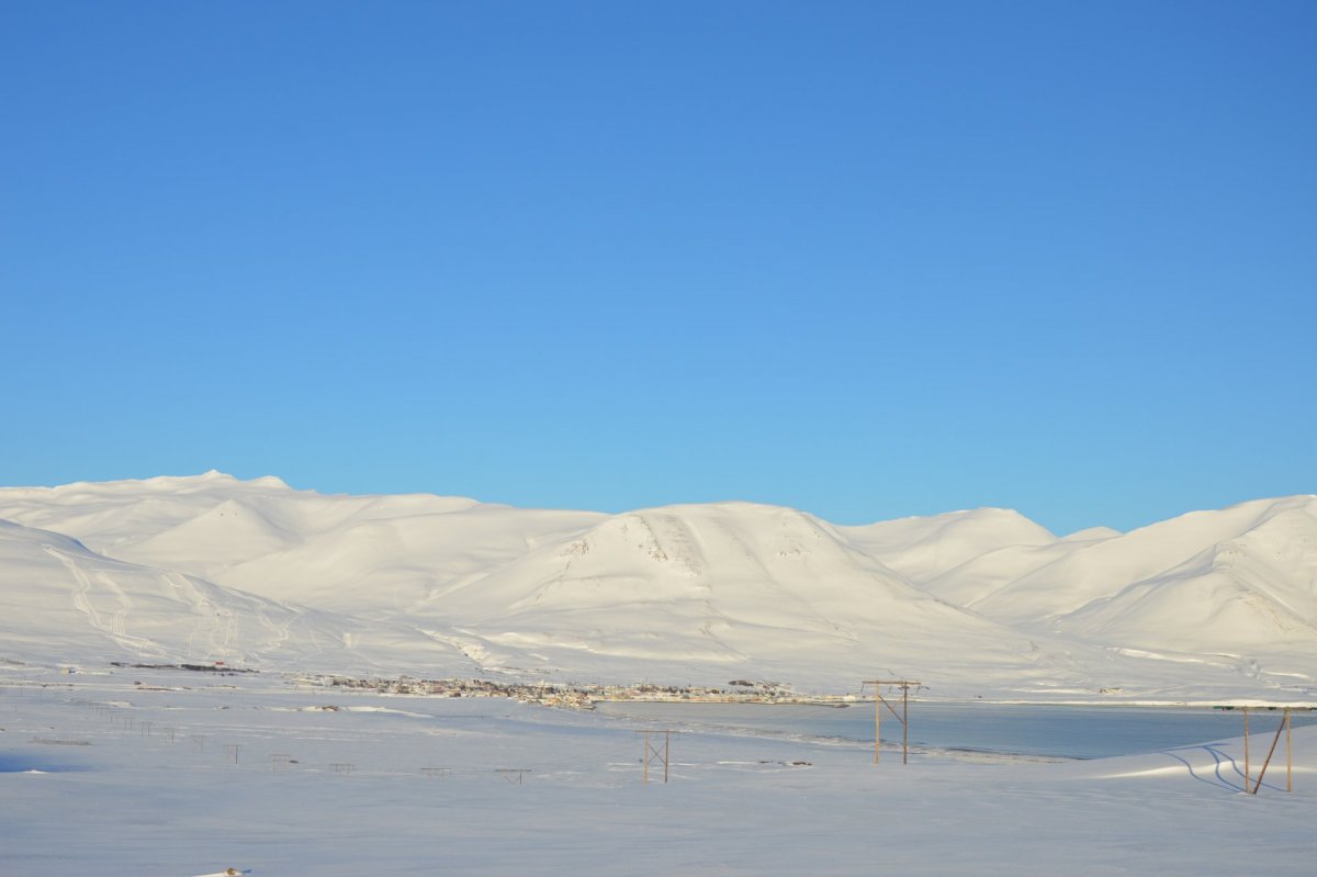 Laust til umsóknar- Kennari fyrir nemendur með íslensku sem annað tungumál