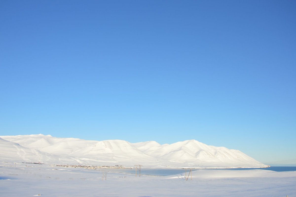 Birtir yfir borg og bæ