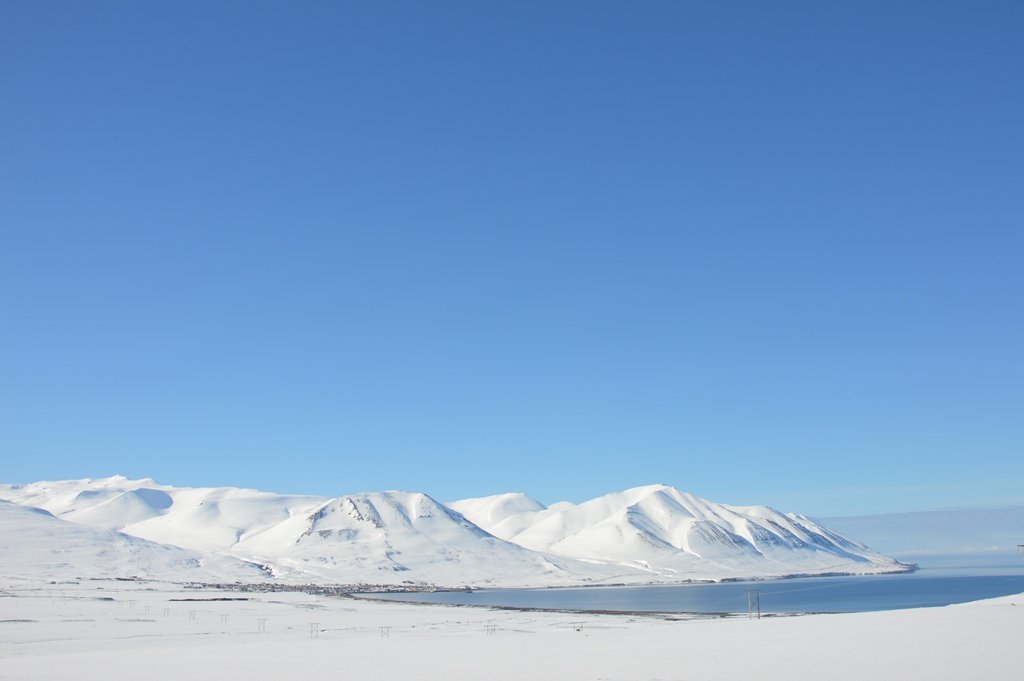 Dalvíkin er draumablá