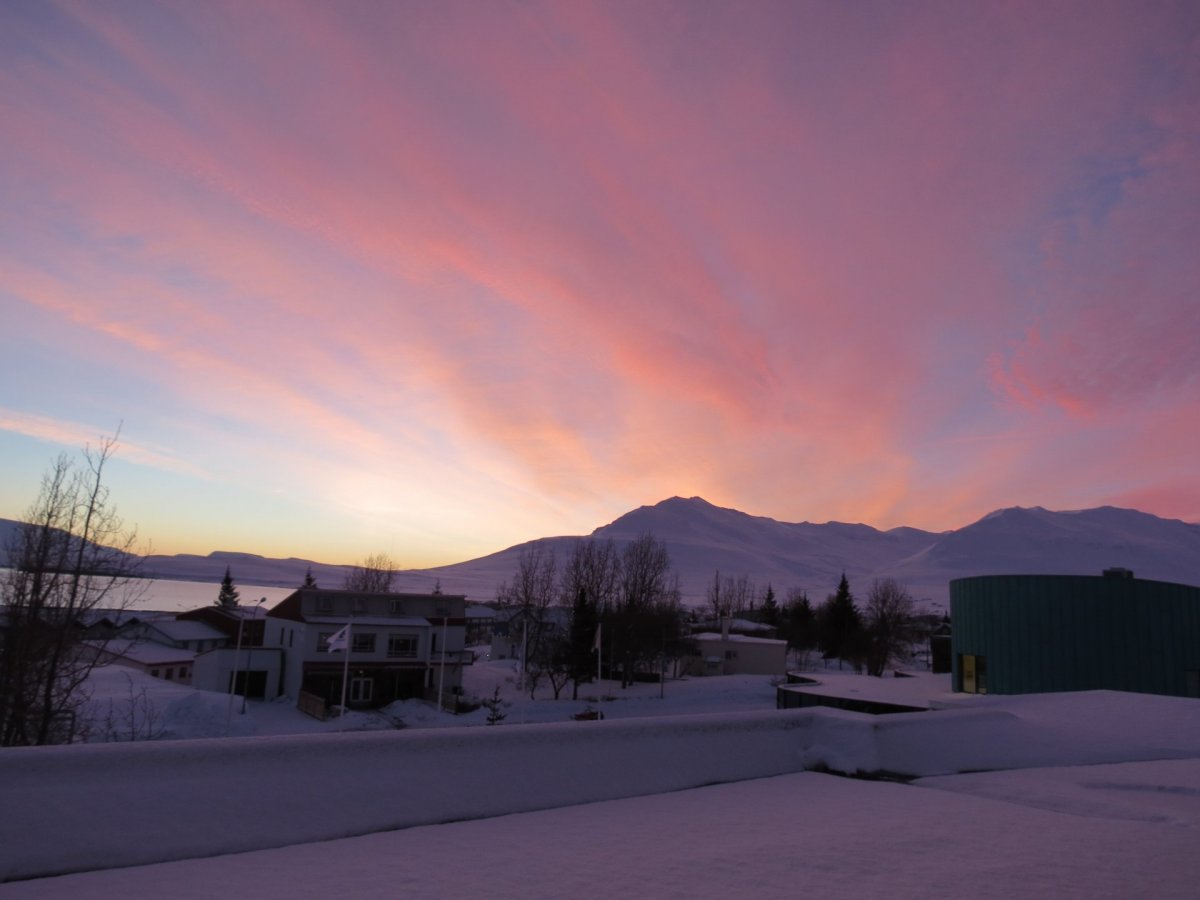 Covid-laus Dalvíkurbyggð
