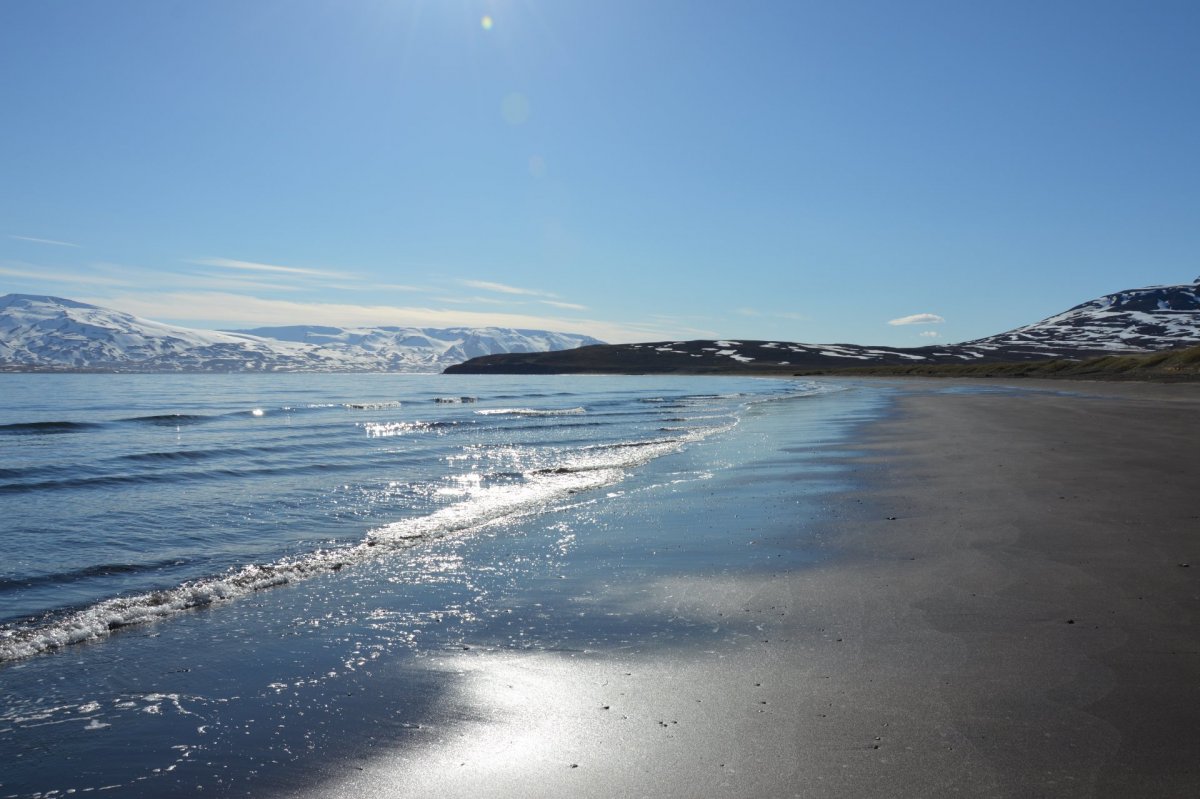 Lokanir miðvikudaginn 8. febrúar