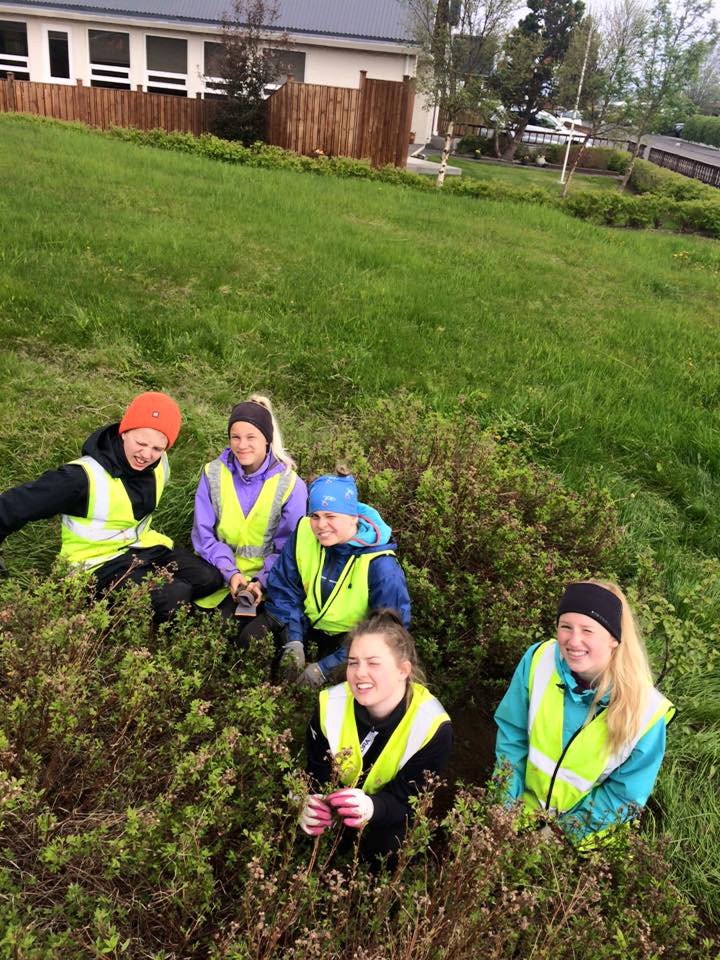 Laus störf nemenda vinnuskóla fyrir sumarið 2017