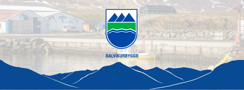 Fjárhagsáætlunargerð 2025