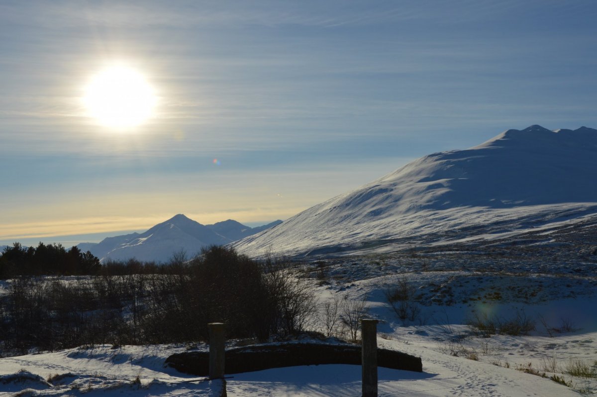 Laus til umsóknar - Grunnskólakennarar