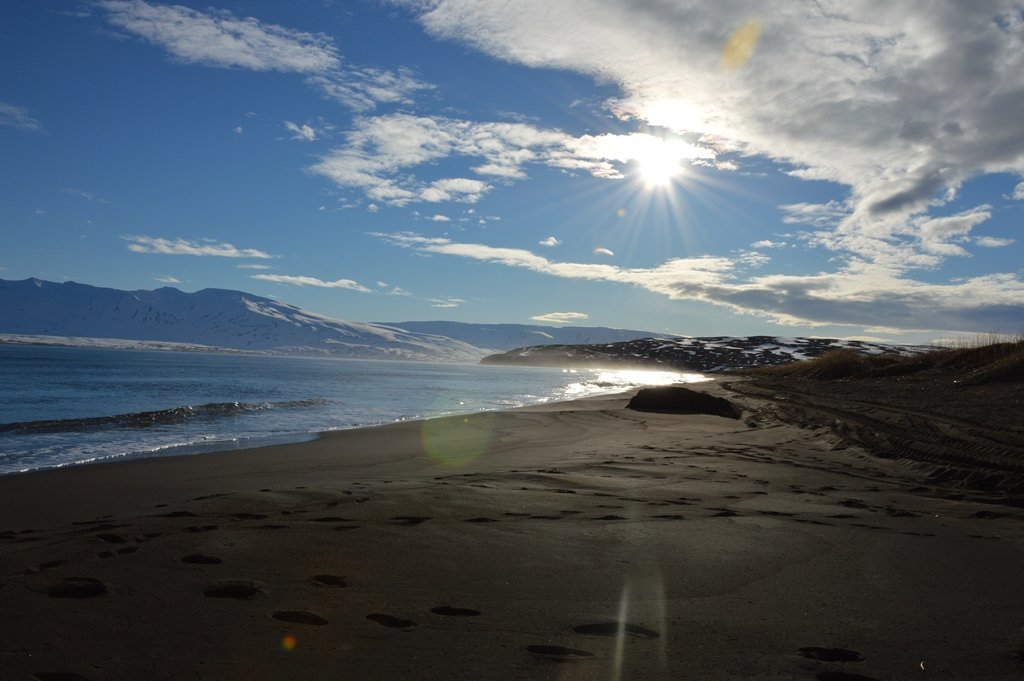 Laust til umsóknar - Grunnskólakennari - Lengdur umsóknarfrestur