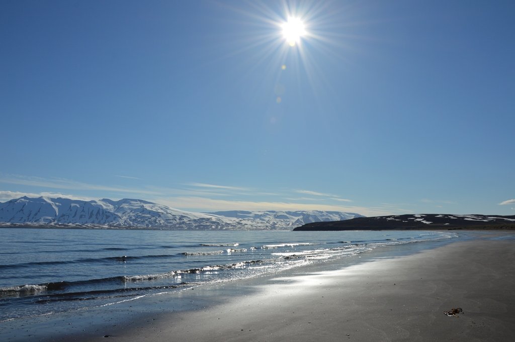 Opið fyrir umsóknir í Nýsköpunar- og þróunarsjóð Dalvíkurbyggðar