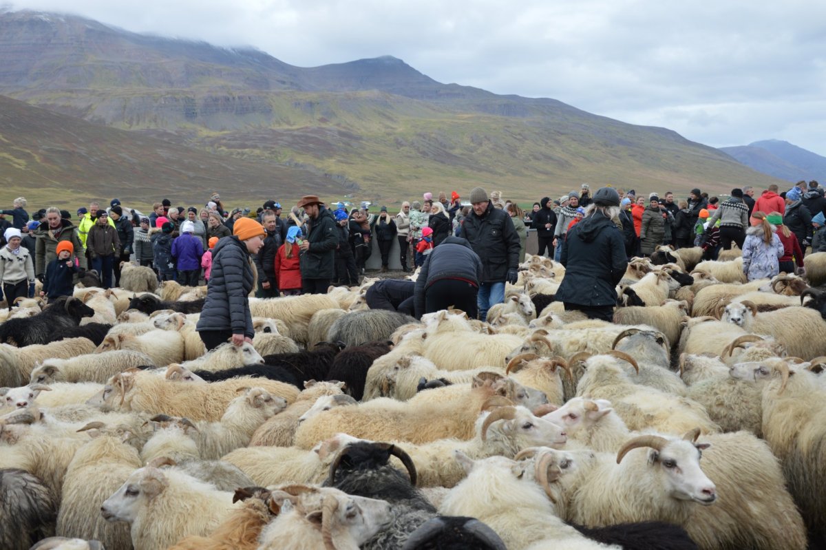 Talning atkvæða.