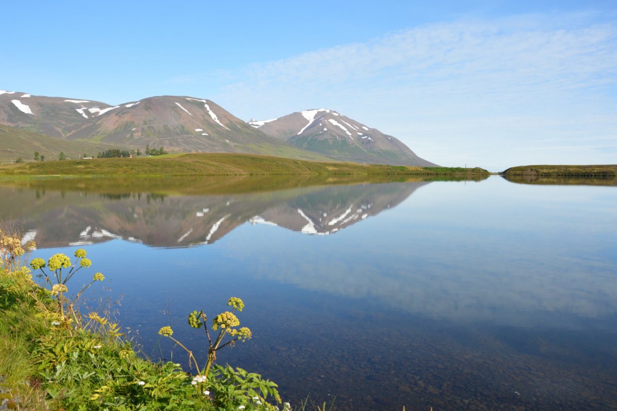 Ársreikningur Dalvíkurbyggðar 2020