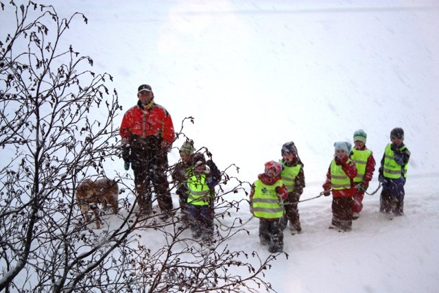Krakkar á ferð í hríðinni