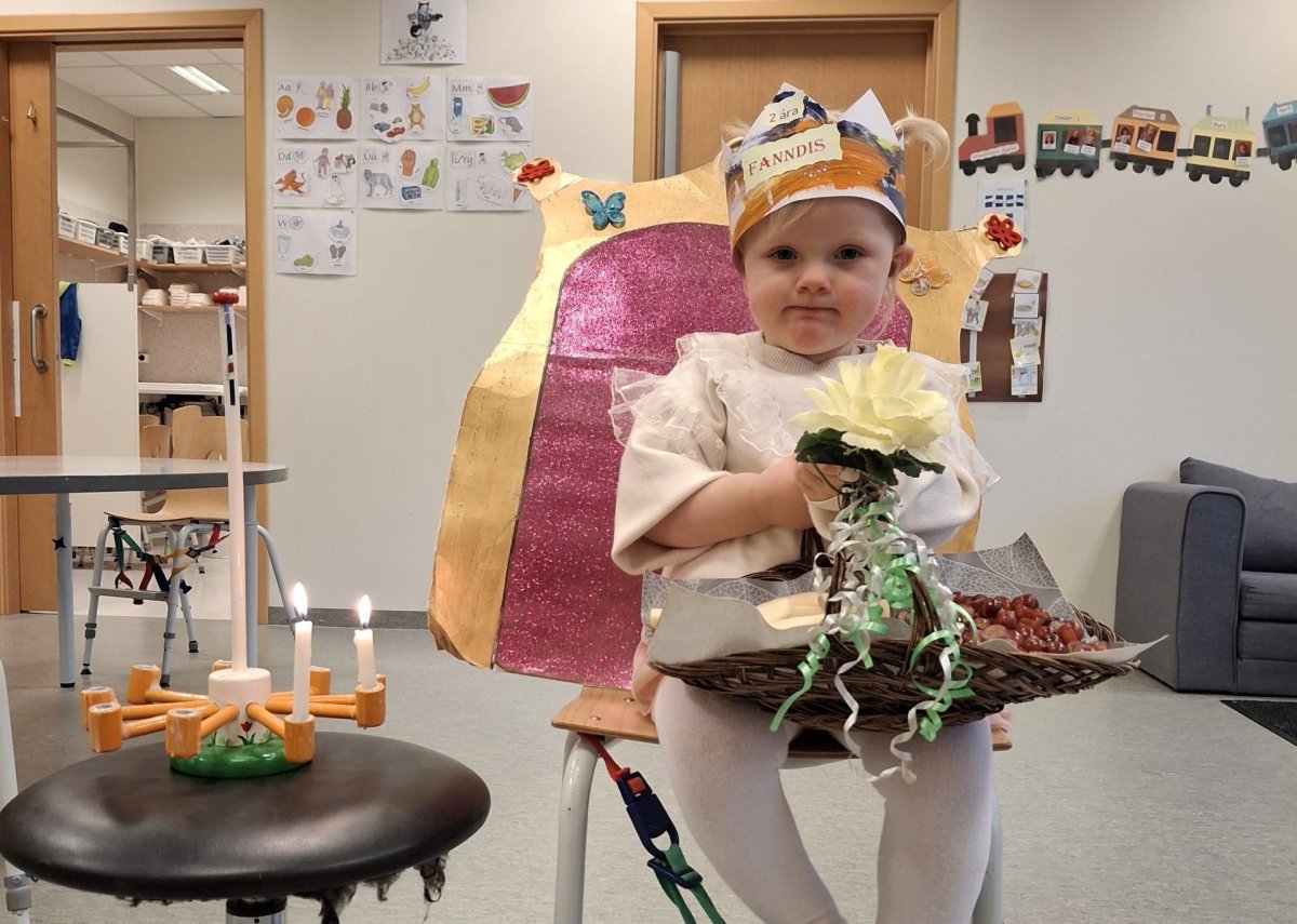 Fanndís Birna 2 ára