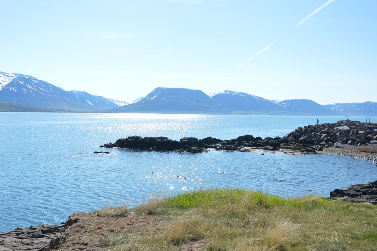 Menningar- og viðurkenningarsjóður auglýsir eftir umsóknum
