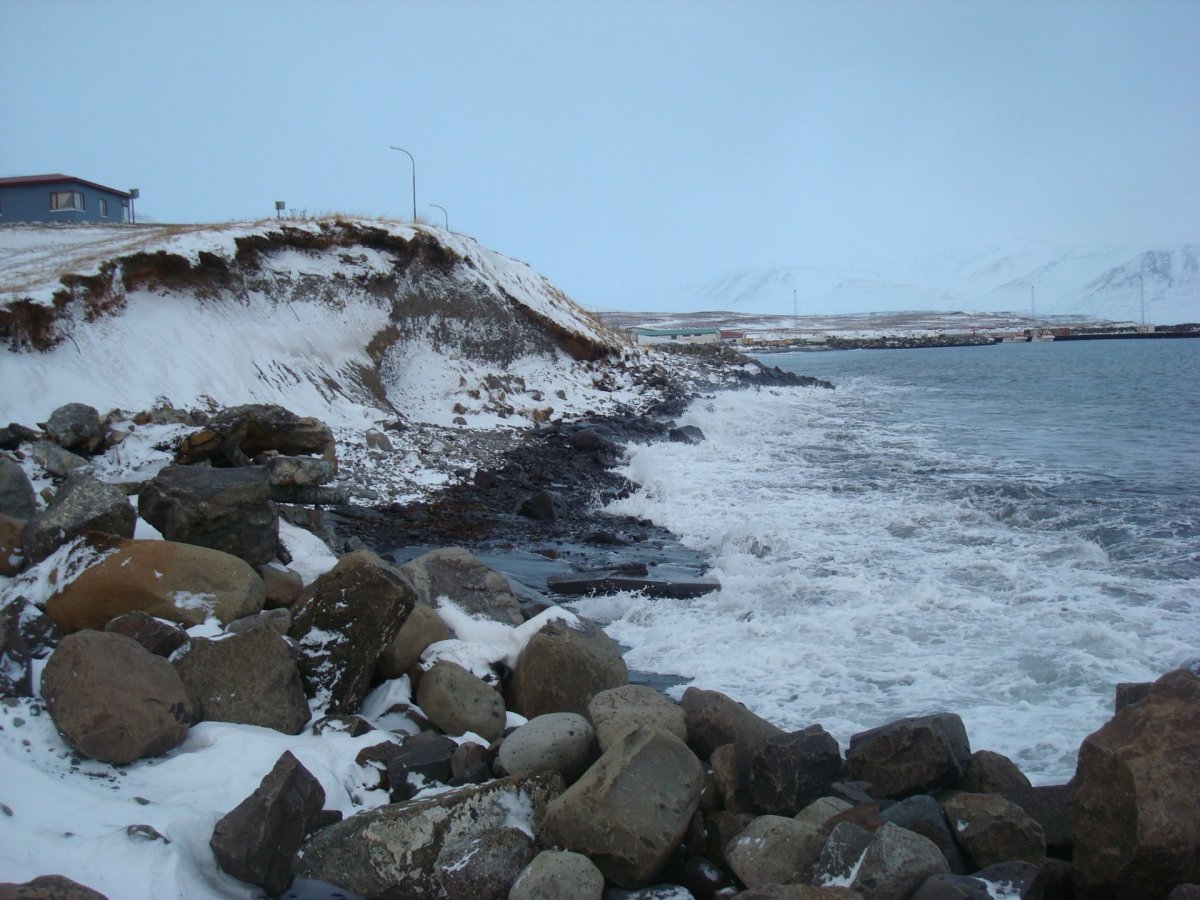 Alþjóðlegi klósettdagurinn er í dag - 19. nóvember