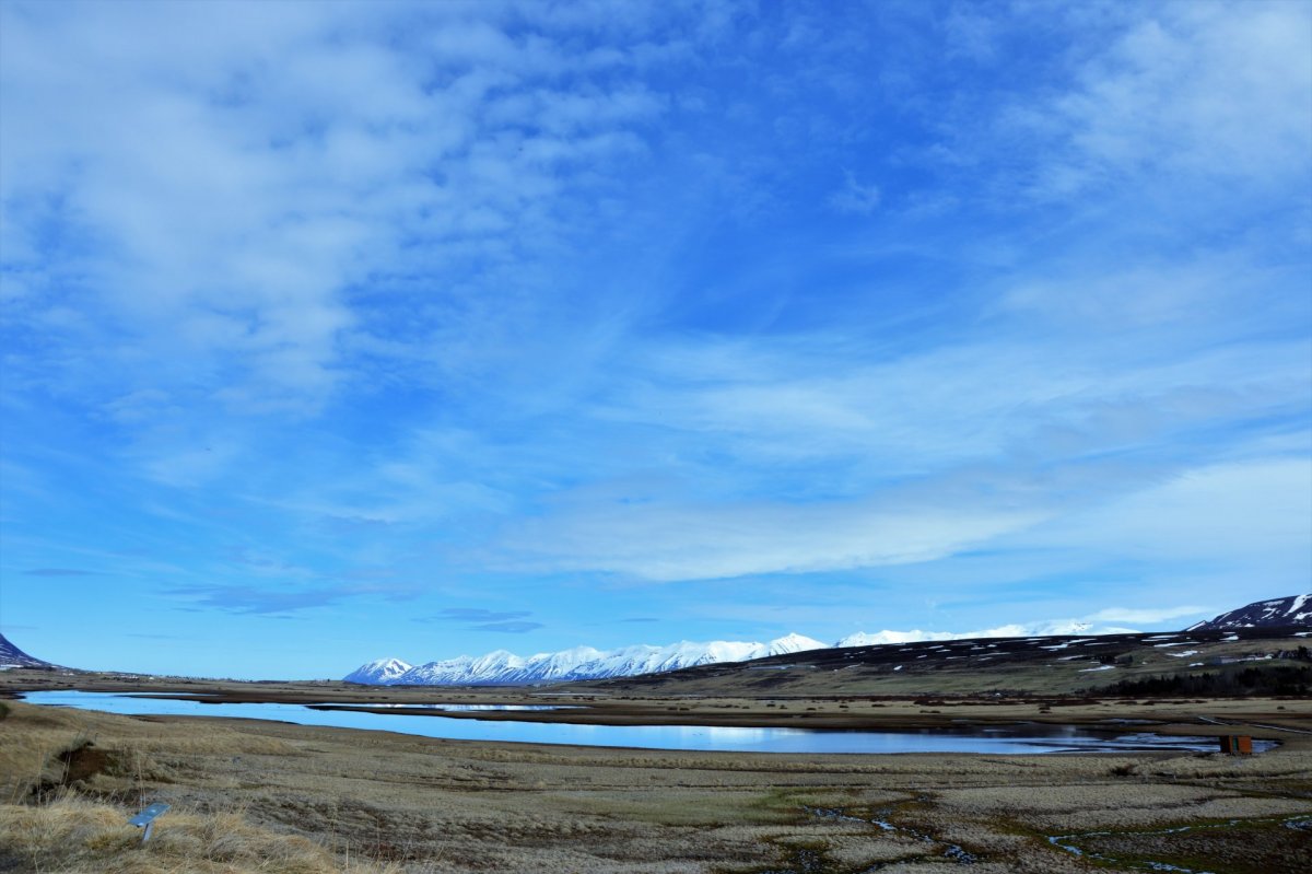 Friðland Svarfdæla