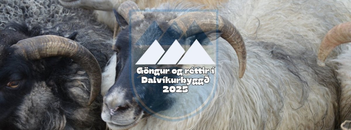 Göngur og réttir í Dalvíkurbyggð 2025