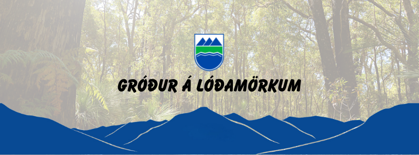 Gróður á lóðarmörkum