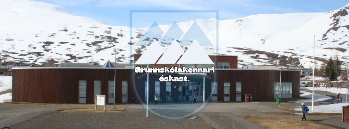 Grunnskólakennarar