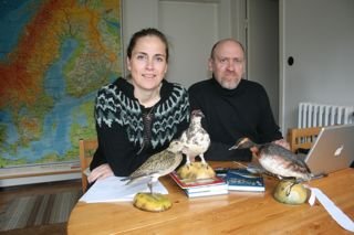 Sýningin tekur á sig mynd