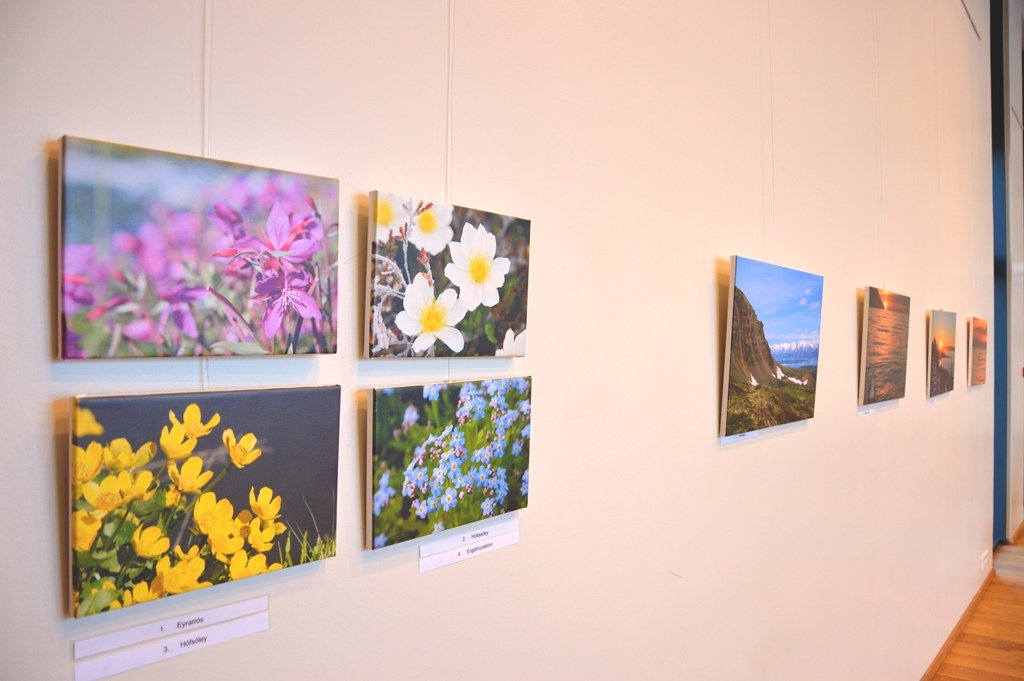 Dalvíkurbyggð - Náttúrulega