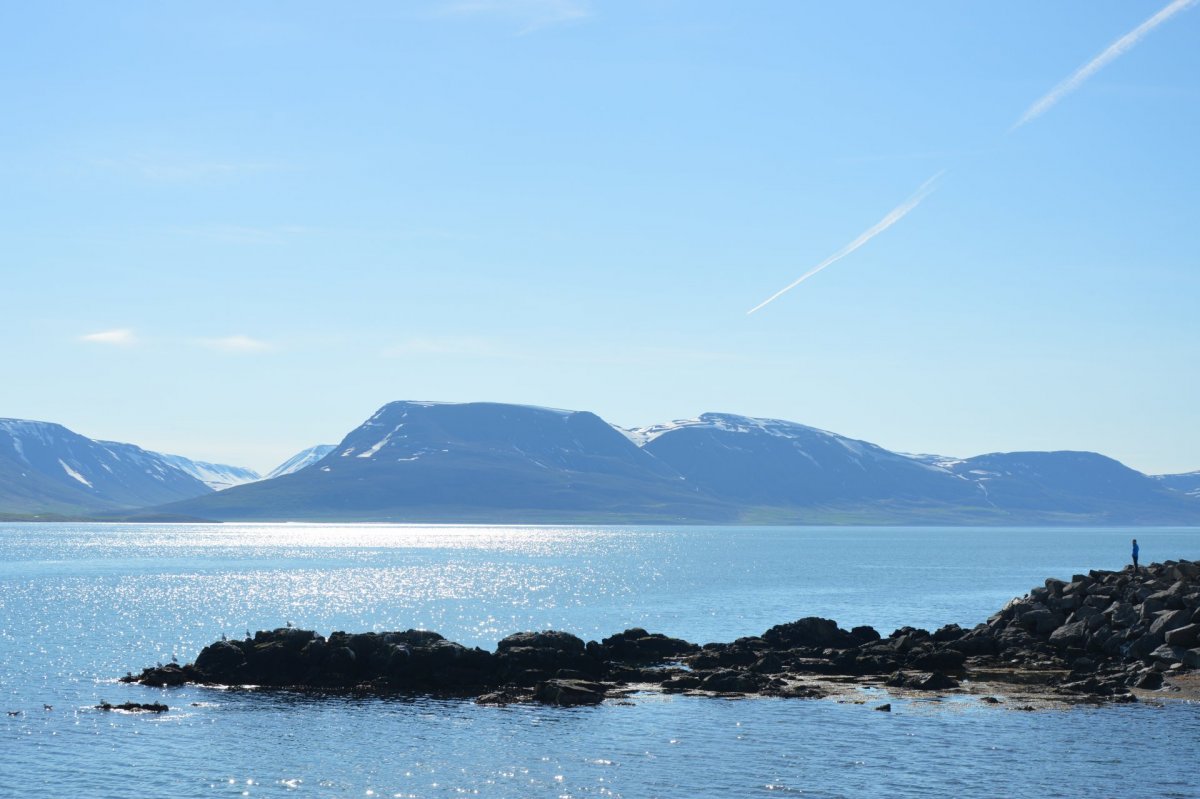 Sumarstörf hjá Dalvíkurbyggð sumarið 2023