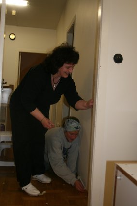 Hollvinir bretta upp ermar