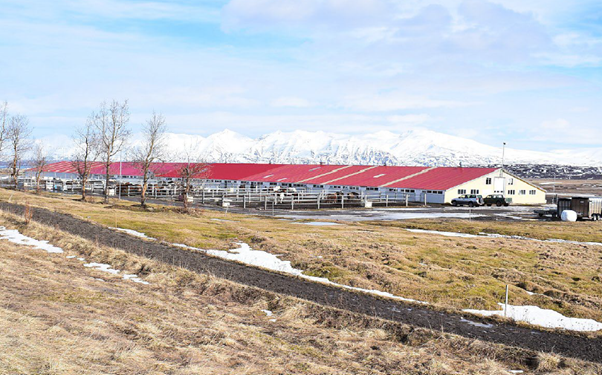 Hesthúsasvæði Hringsholti - Skipulagslýsing fyrir nýtt deiliskipulag