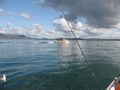 Íslandsmeistaramót EFSA Ísland 2009 – Dalvík 15.-16. maí