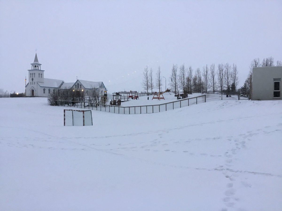 Starfsdagur 11. febrúar