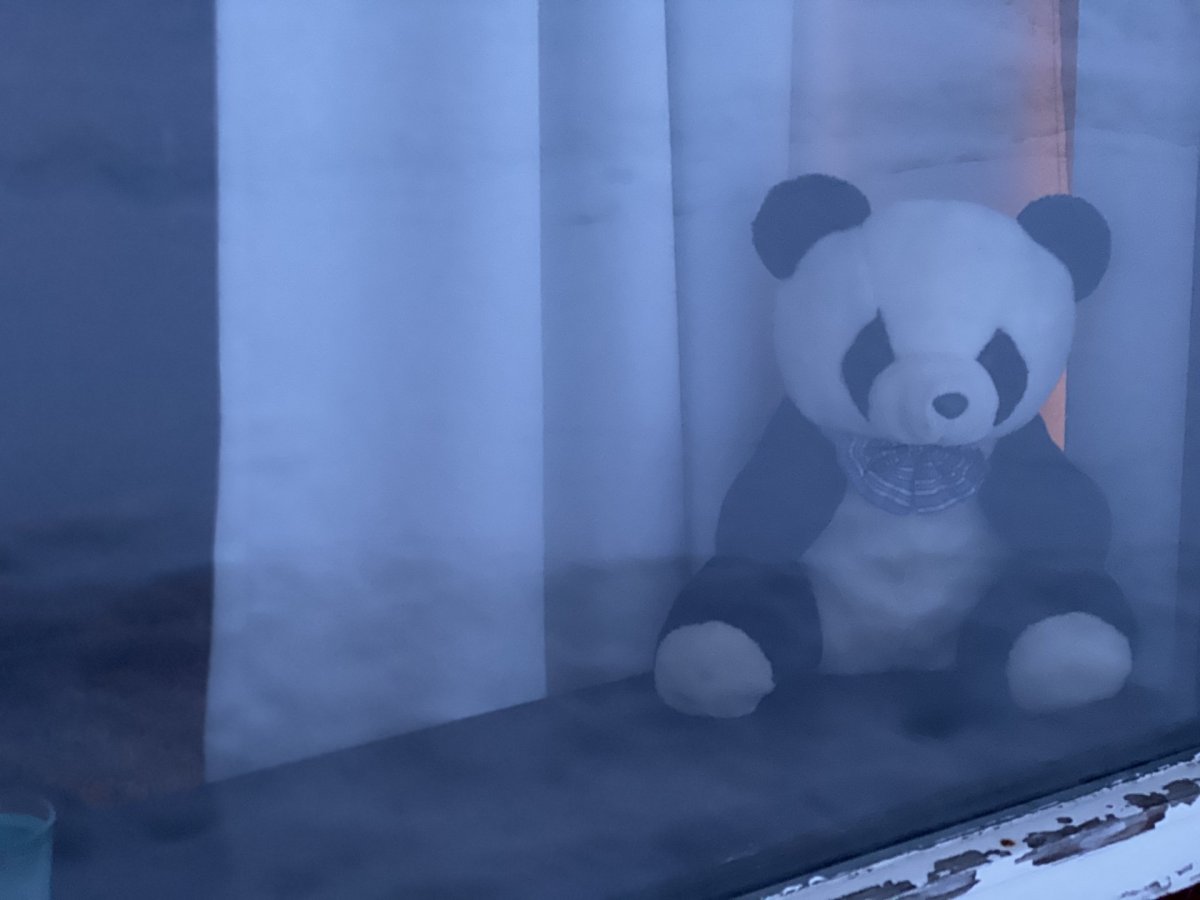 Hr. Panda bíður spenntur eftir börnum í bangsaleiðangri!