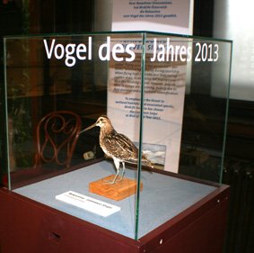 Hrossagaukurinn fugl ársins í Austurríki