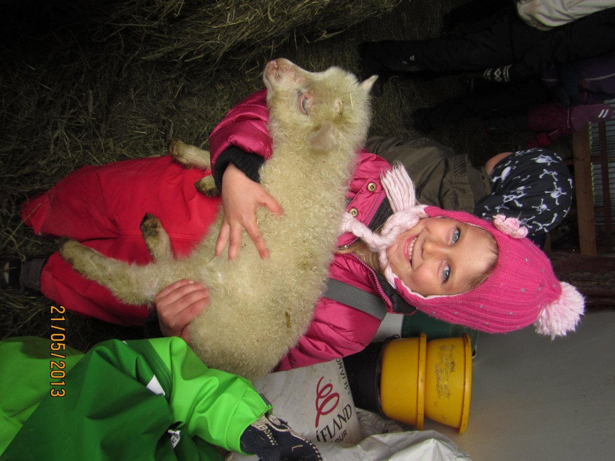 Sveitaferð á Steindyr