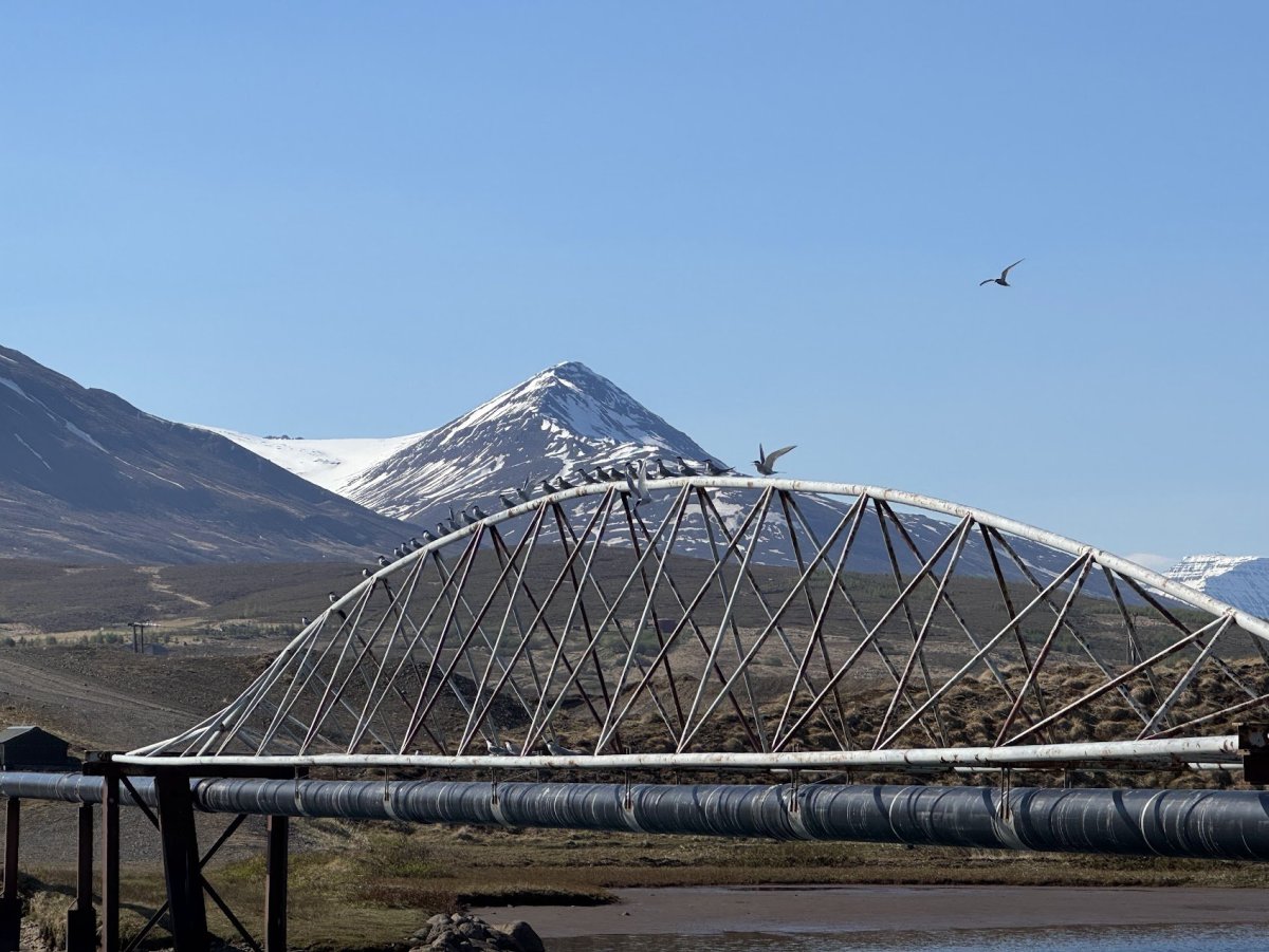Tilkynning frá veitum - lokun heitt vatn Karlsrauðatorg Dalvík.