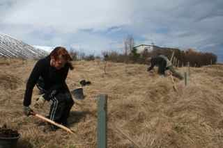 Húsabakkadagur á miðvikudag