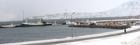 Tilboð opnuð í endurgerð trébryggju við suðurgarð