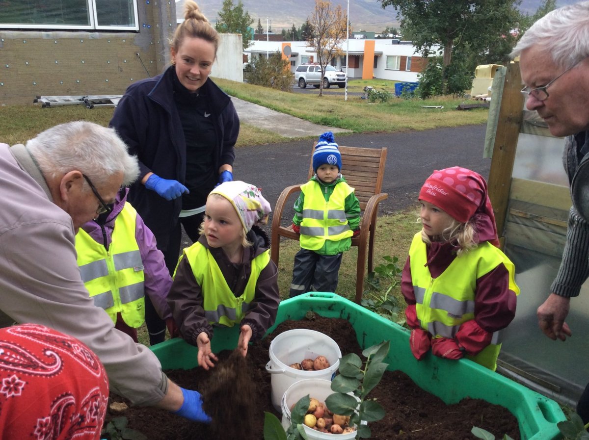 Nemendur Hólakots og heimilsfólk á Dalbæ taka upp kartöflur