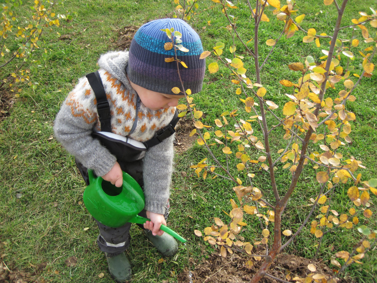 Umhverfissáttmálinn í Krílakoti