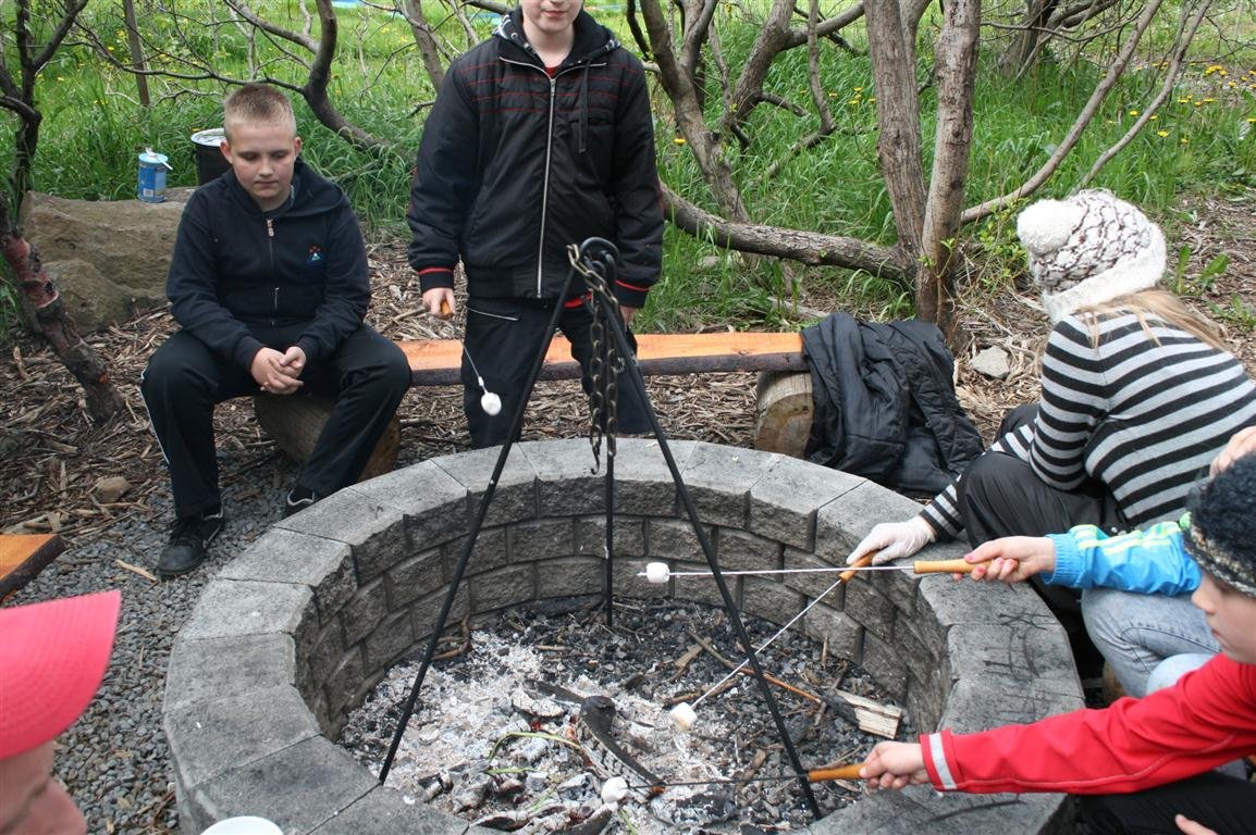 Vikan 31.okt - 7.nóv