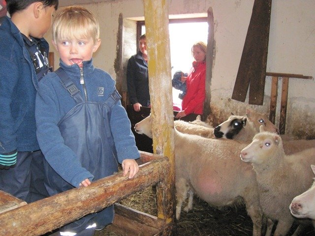 Sveitaferð á Sökku