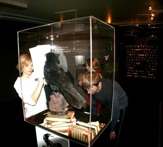 Ungir fuglafræðingar