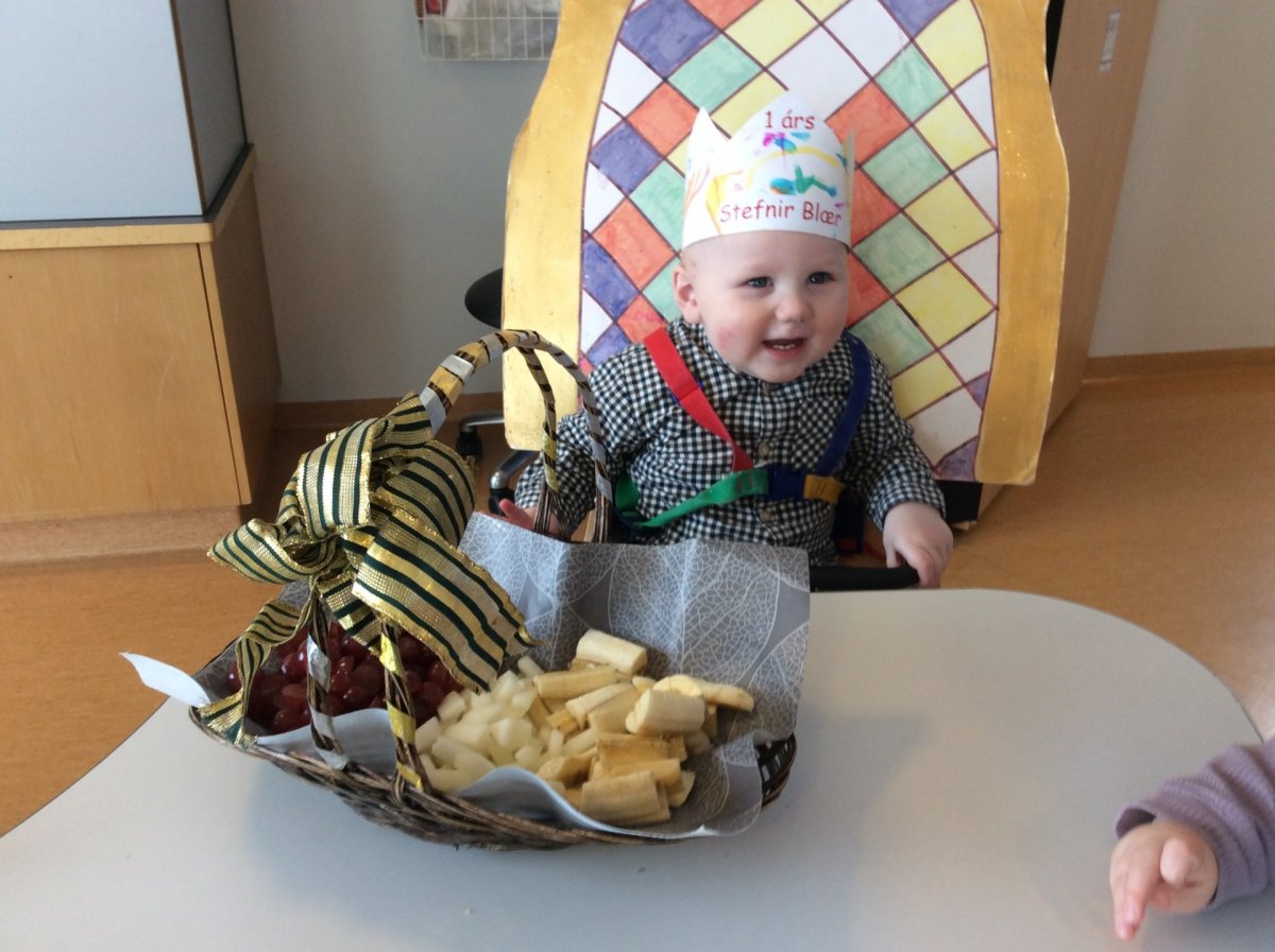 Stefnir Blær 1 árs