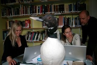 Unnið fram á nætur á Húsabakka