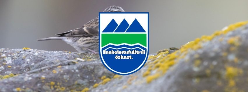 Innheimtufulltrúi óskast - Ath framlengdur umsóknarfrestur.