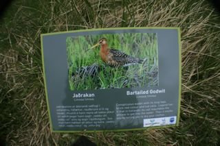 Fuglaskiltin komin upp