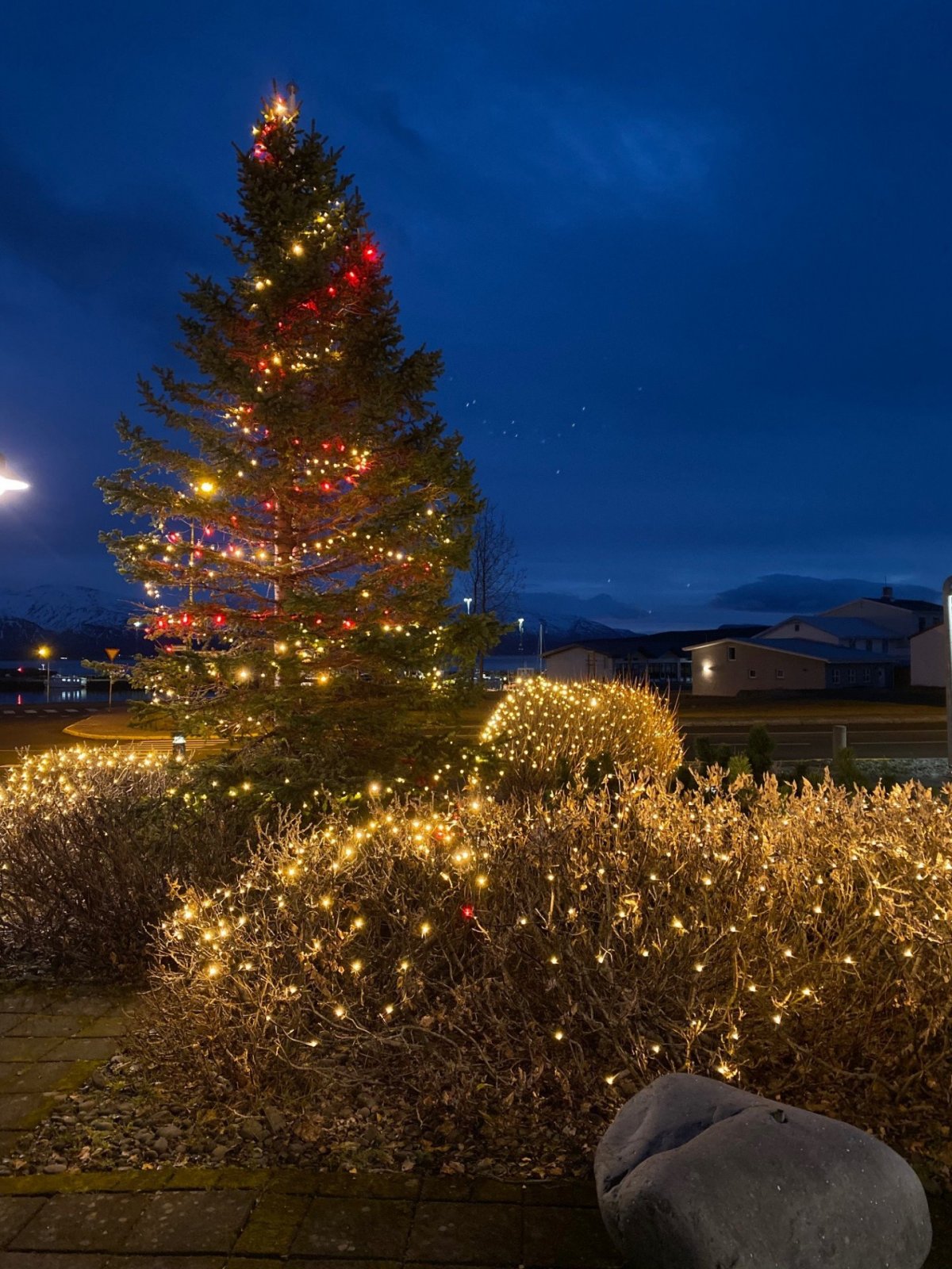 Jólaskreytingarsamkeppni í Dalvíkurbyggð 2020